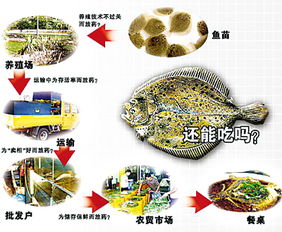 上海市场多宝鱼药物超标 重庆市场餐馆禁售